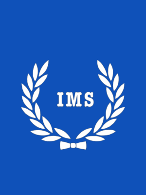 IMS - Интеллектуальные системы для умного дома и бизнеса